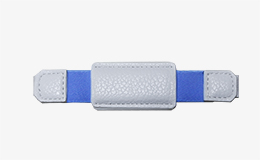 Bracelet-C6 Ordinateur portable de soins de santé